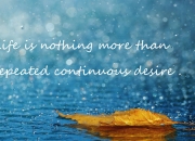 雷火电竞亚洲先驱-从锁链到钥匙，哈利伯顿窒息防守引领鹈鹕攻克篮网铁壁