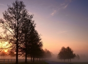 雷火电竞app-虚实轴心，德甲争冠夜突尼斯碾压巴拉圭的另类剧本