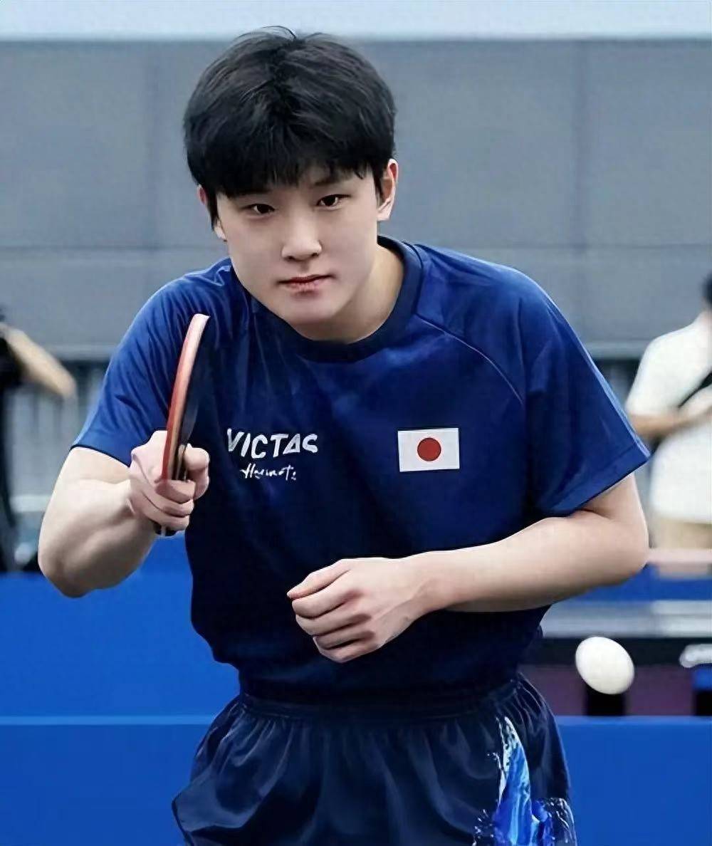 德国乒乓球队翻盘比利时乒乓球队,张本智和高光表现的简单介绍 德国乒乓球队翻盘比利时乒乓球队,张本智和高光表现的简单介绍