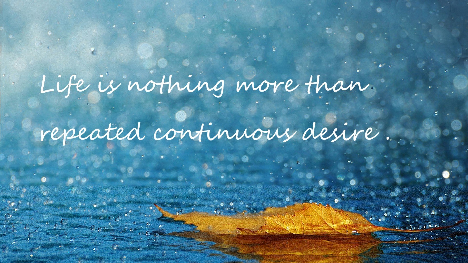 从锁链到钥匙，哈利伯顿窒息防守引领鹈鹕攻克篮网铁壁